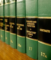 Etiam commodo convallis